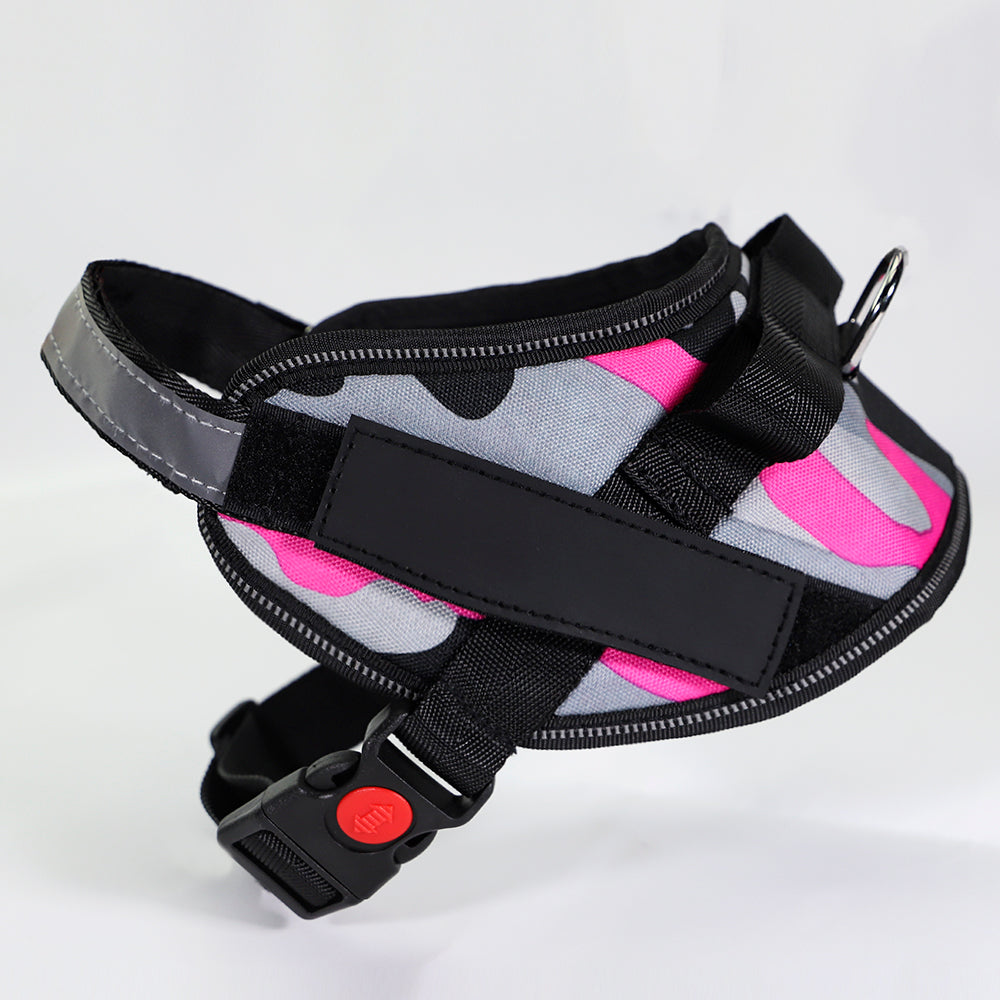Adjustable Dog Chest Harness & Leash Set
