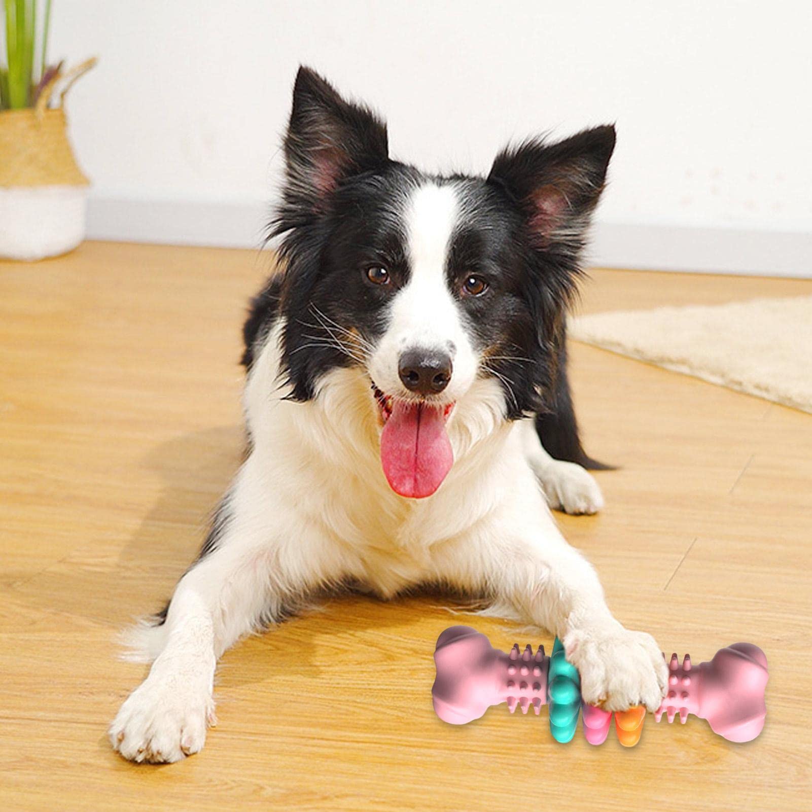 Dog Chew Toy Dog Bone Type Dogs Teeth Cleaning Toys Indestructible TPR Bone Chewing Bite Resistant