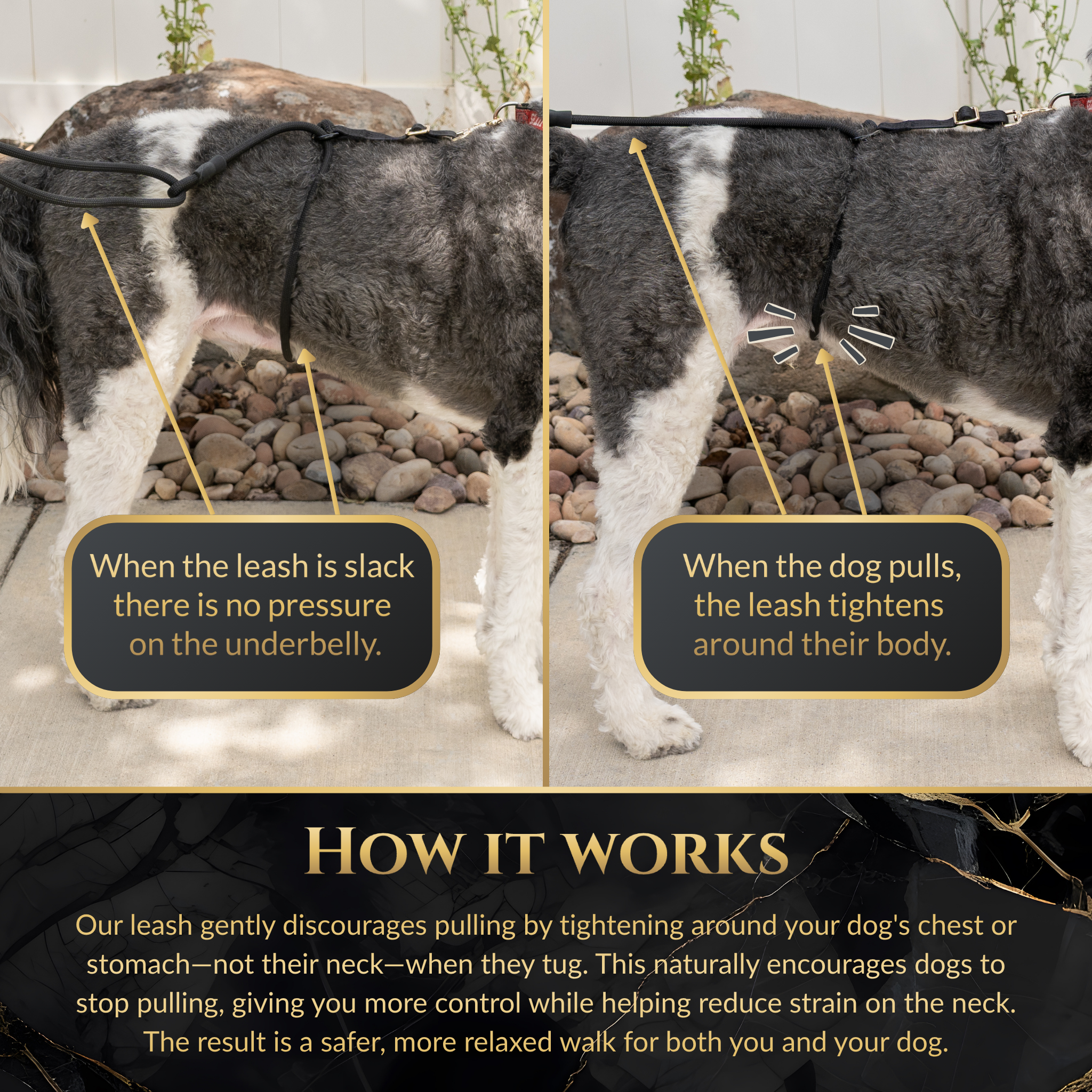 Calm Command © Hands Free, No-Pull Leash set