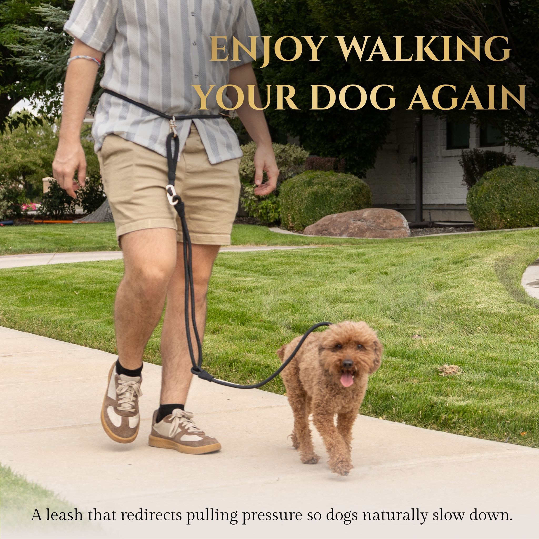 Calm Command © Hands Free, No-Pull Leash set