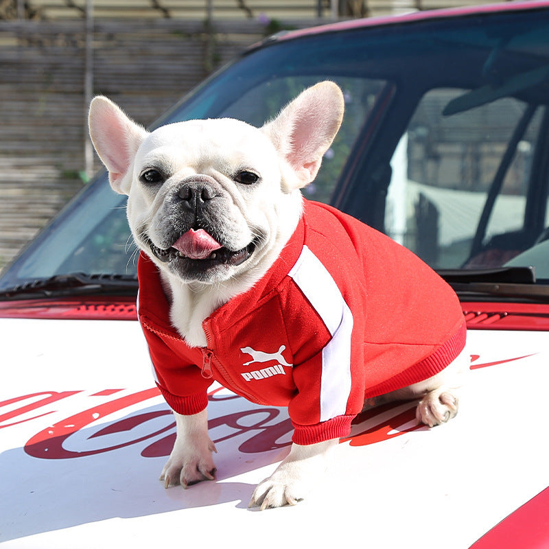 Pet Sweatshirt | Warm Letter Print Hoodie for Dogs & Cats | Fall & Winter