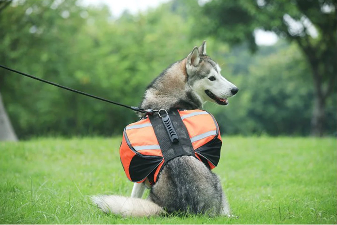 Reflective Dog Saddle Bag Harness | Adjustable Carrier for Hiking, Camping & Travel