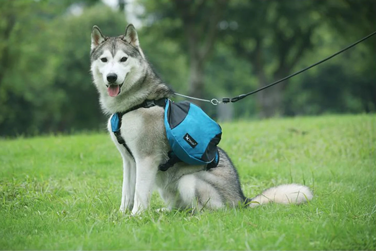 Reflective Dog Saddle Bag Harness | Adjustable Carrier for Hiking, Camping & Travel