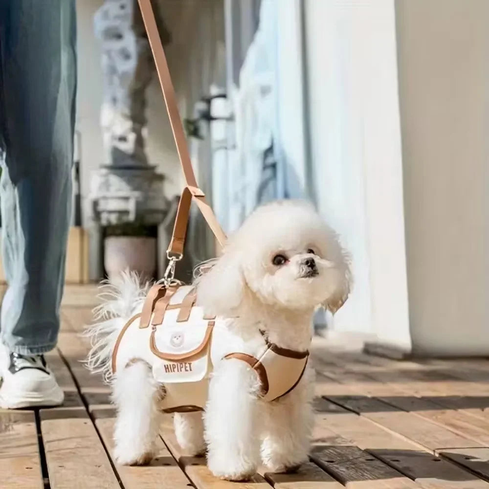 Cute Dog Backpack Carrier | Small to Medium Pets | Travel, Walks & Daily Use