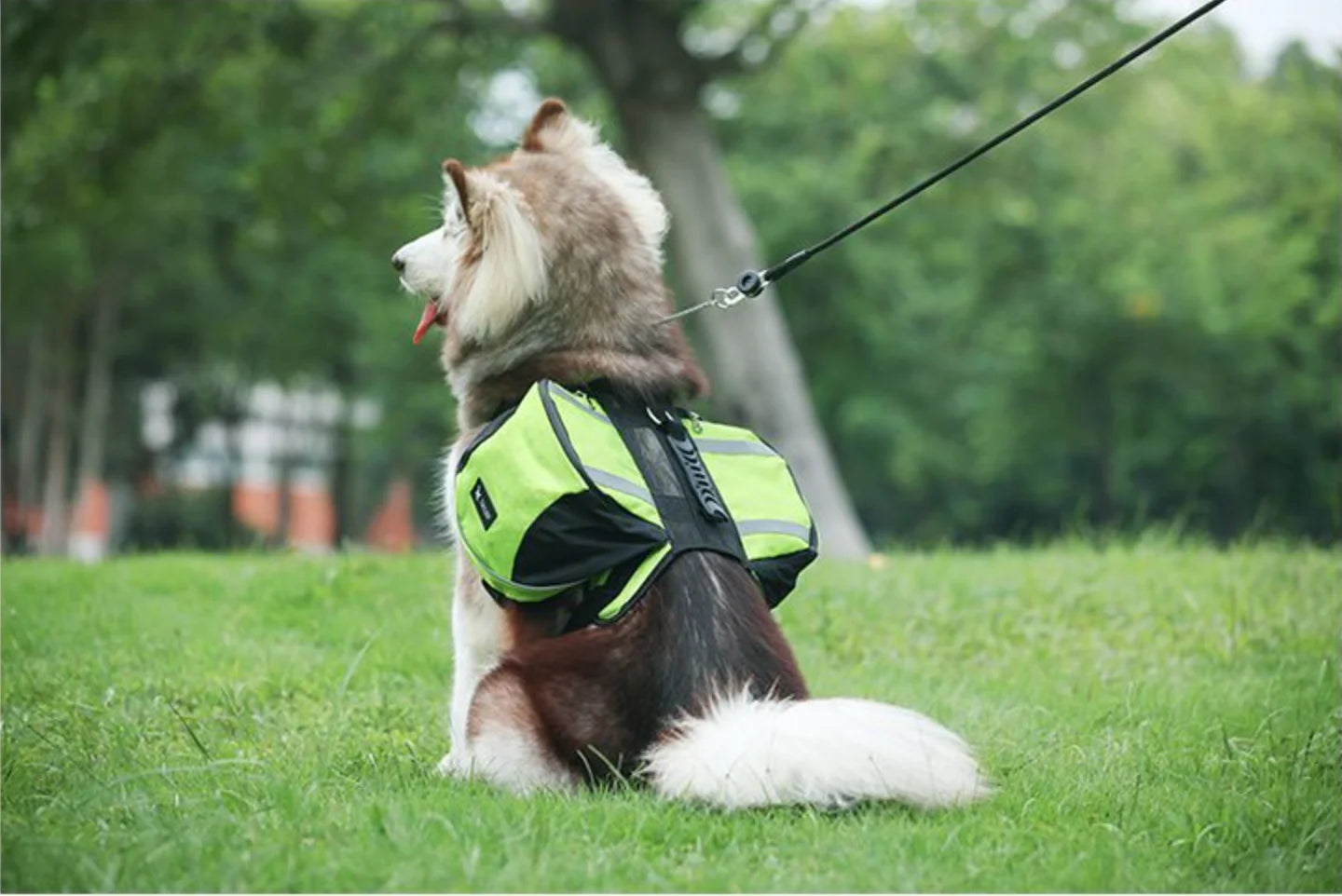 Reflective Dog Saddle Bag Harness | Adjustable Carrier for Hiking, Camping & Travel