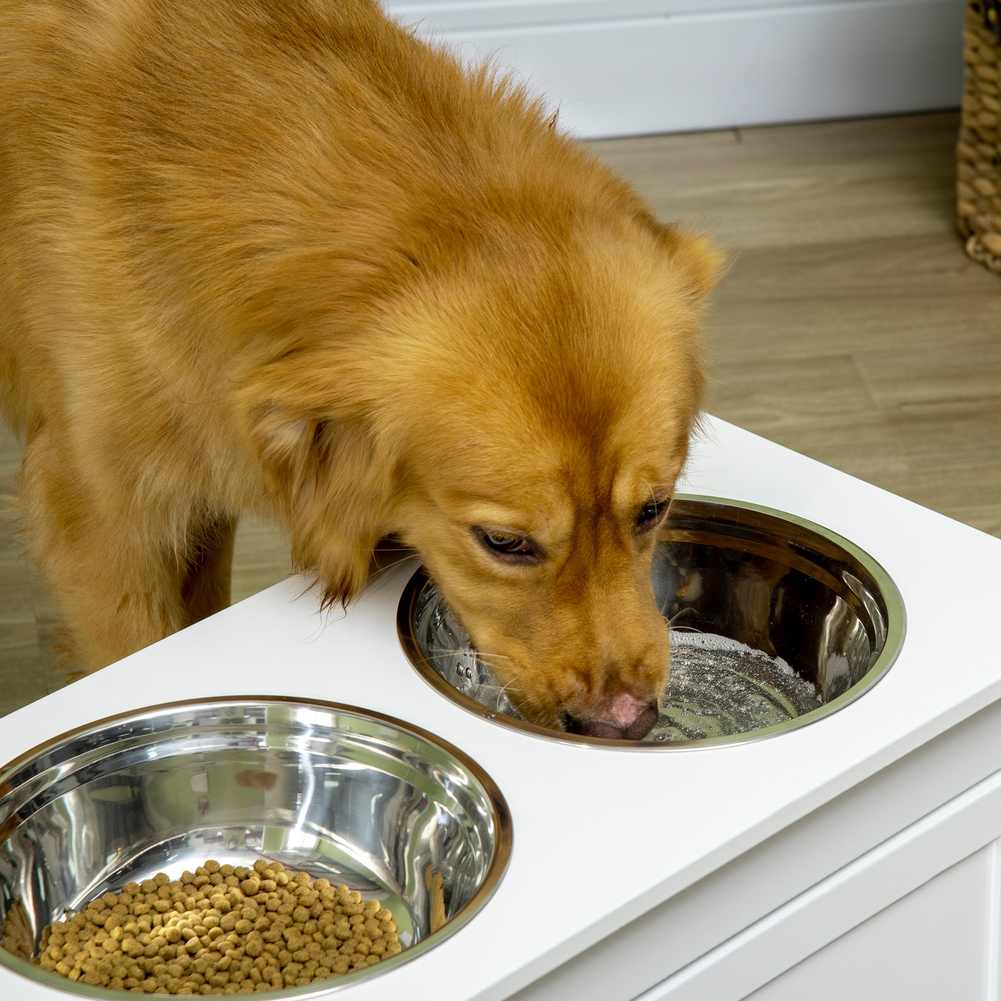 Large Elevated Dog Bowls with Storage Drawer Containing