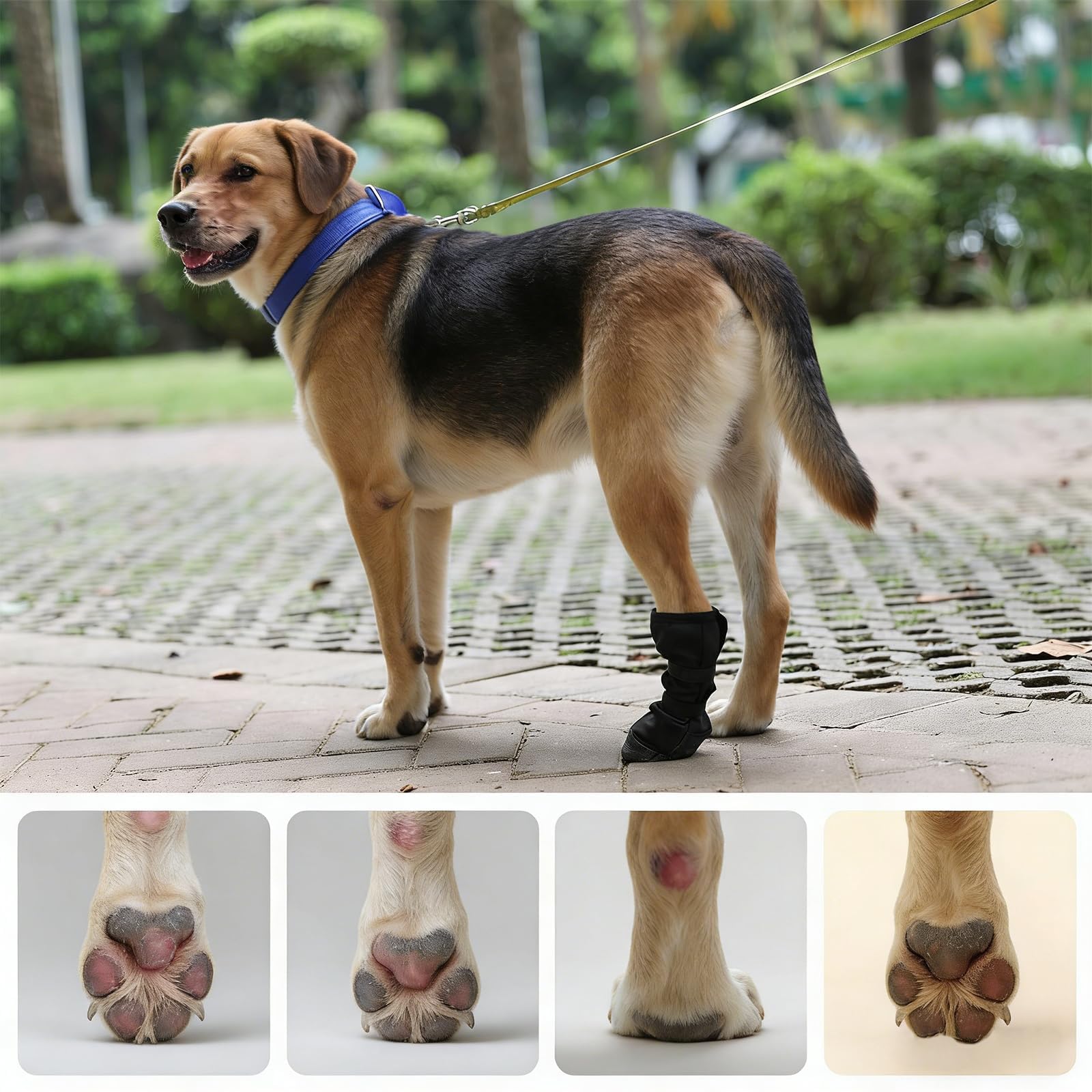 Dog Recovery Boot For Injured Paws - Breathable Dog Shoes With Non-Slip Sole & Self-Adhesive Strap, Dog Bootie To Protect Wounds From Licking, Dirt, And Infection -