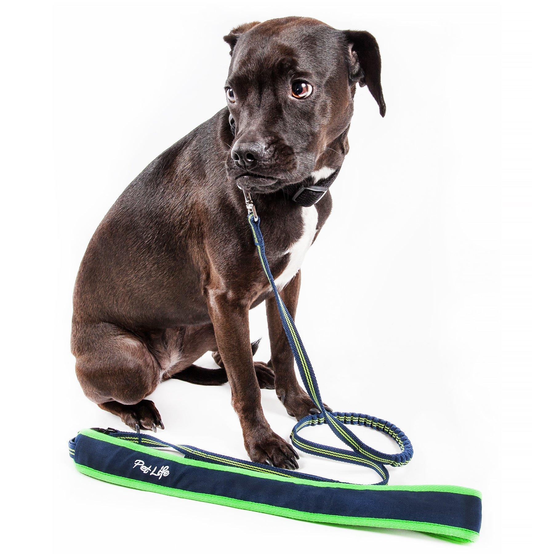 Pet Life ® &