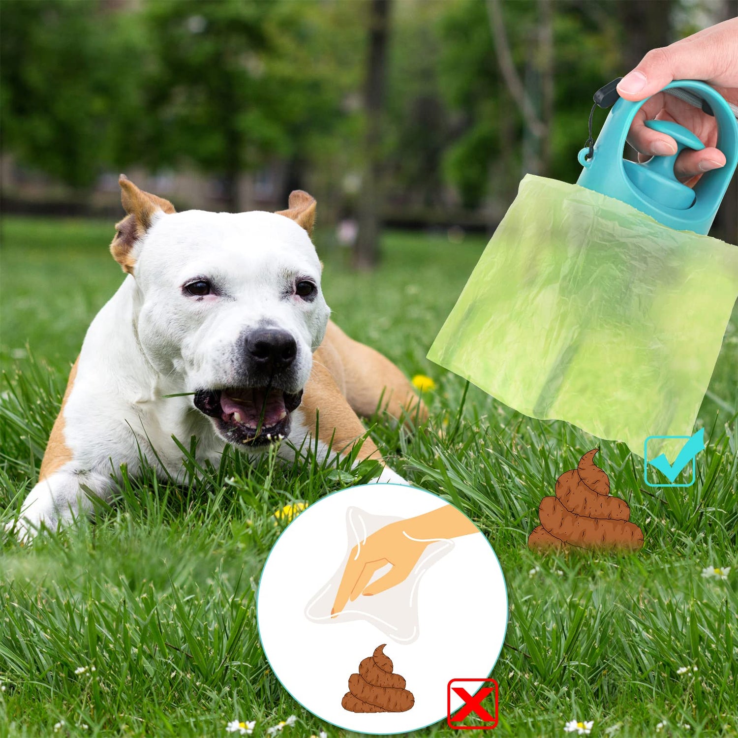 Pet Care - Cleaning, Grooming &amp; Health