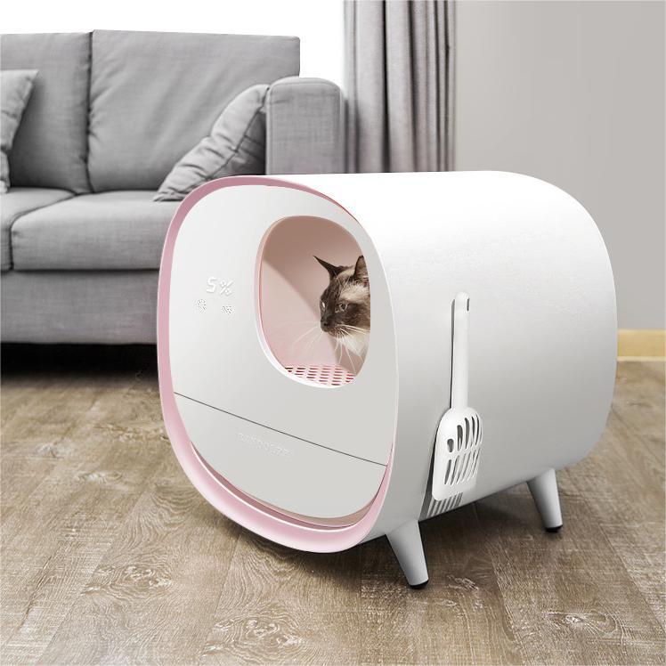 Pet Beds & Comfort