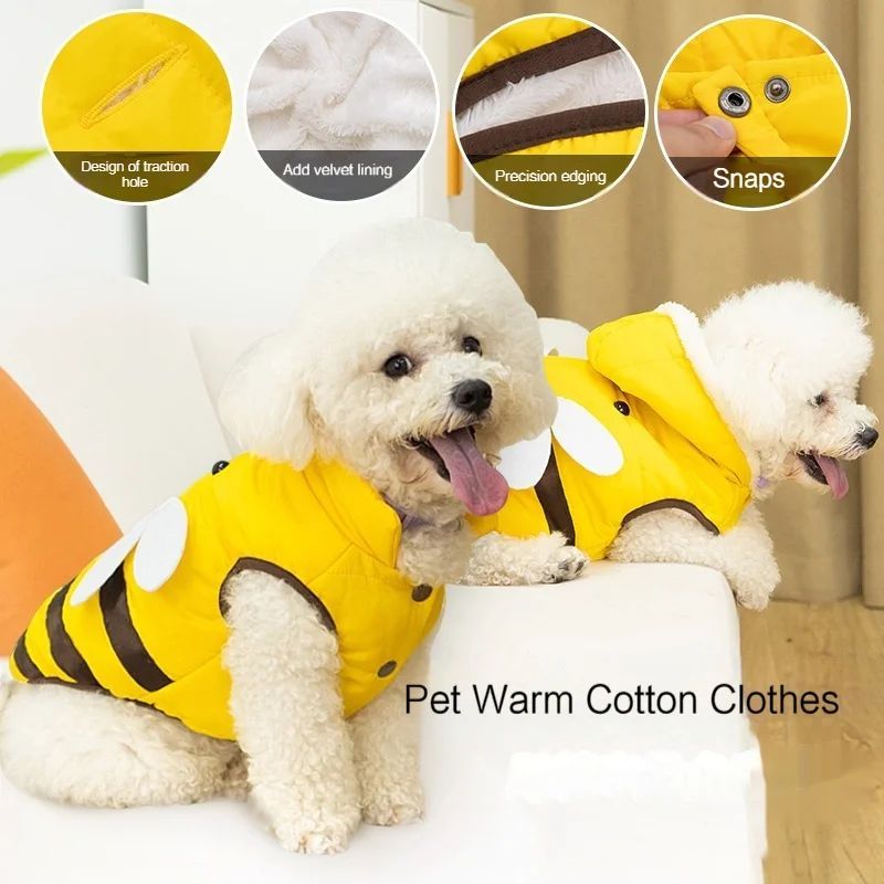Dog Apparel & Wearables
