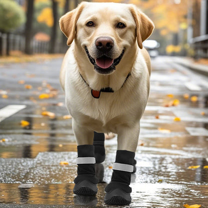 Extended Medium Large Dog Dog Shoes