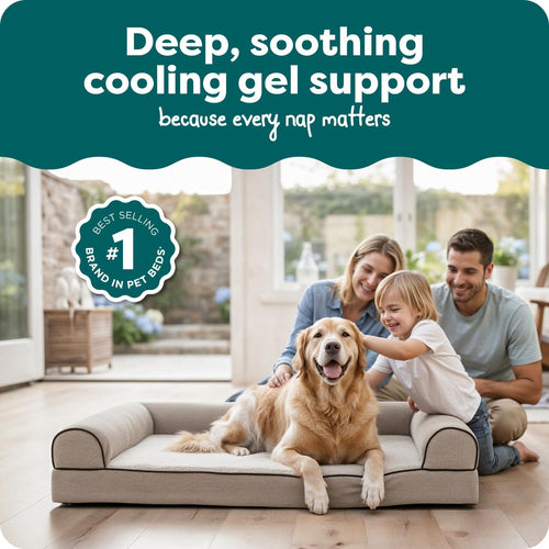 Cooling Gel Dog Bed for Large Dogs W/ Removable Bolsters & Washable Cover, for Dogs up to 95 Lbs - Sherpa & Chenille Sofa - Cream, Jumbo/Xl