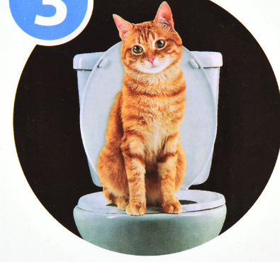 Cat Toilet Training Kit with Seat Inserts