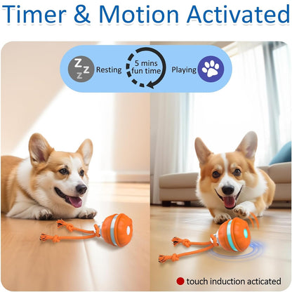 Motion-Activated Automatic Rolling Dog Ball – Interactive Rechargeable Toy for Puppies &amp; Small Dogs