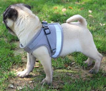 Reflective Mesh Dog Harness &amp; Leash Set