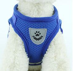 Reflective Mesh Dog Harness &amp; Leash Set