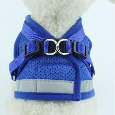 Reflective Mesh Dog Harness &amp; Leash Set