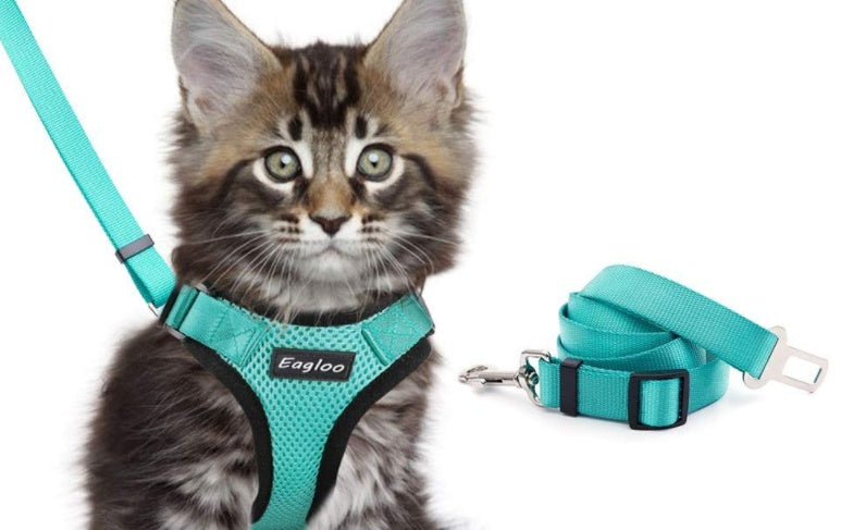 Escape Proof Cat Vest Harness And Car Seat Belt Adapter Adjustablppy
