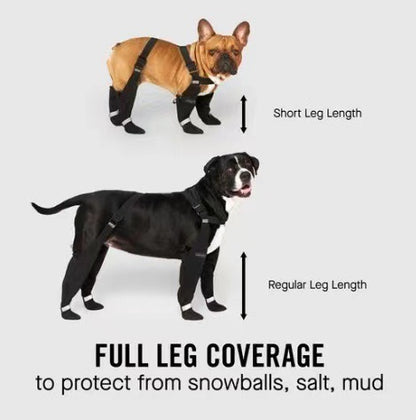 Elastic Belt With Reflective Pet Shoes Waterproof