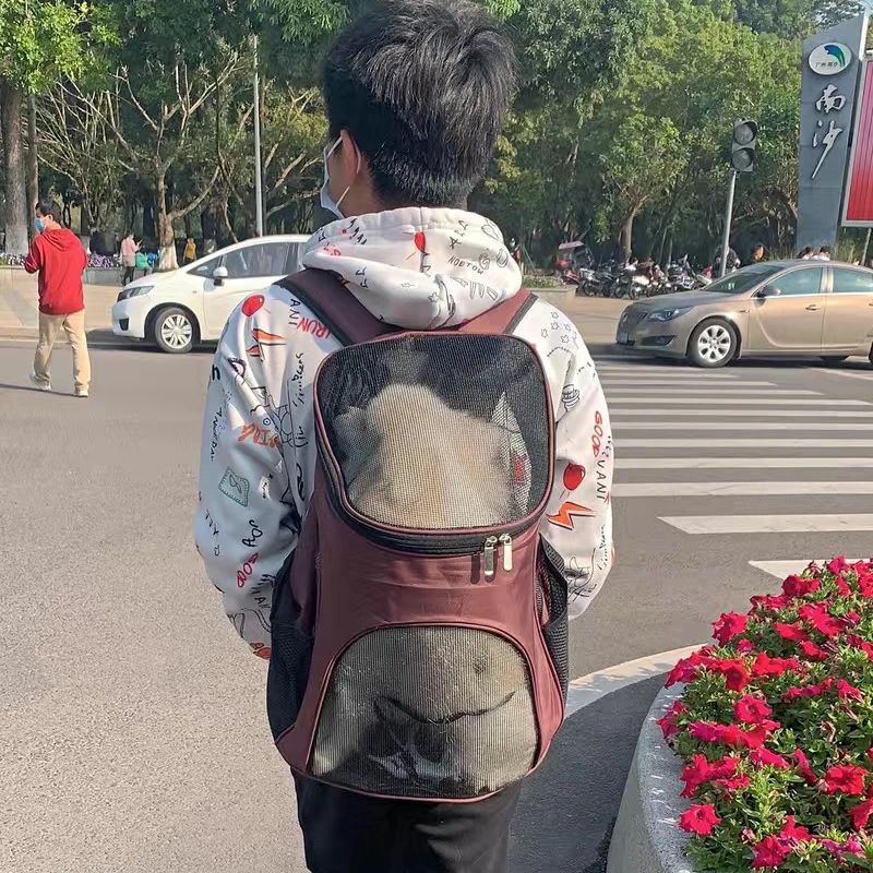 Breathable Puppy Dog Carrier Backpack Portable Pet Bags For Small Dogs