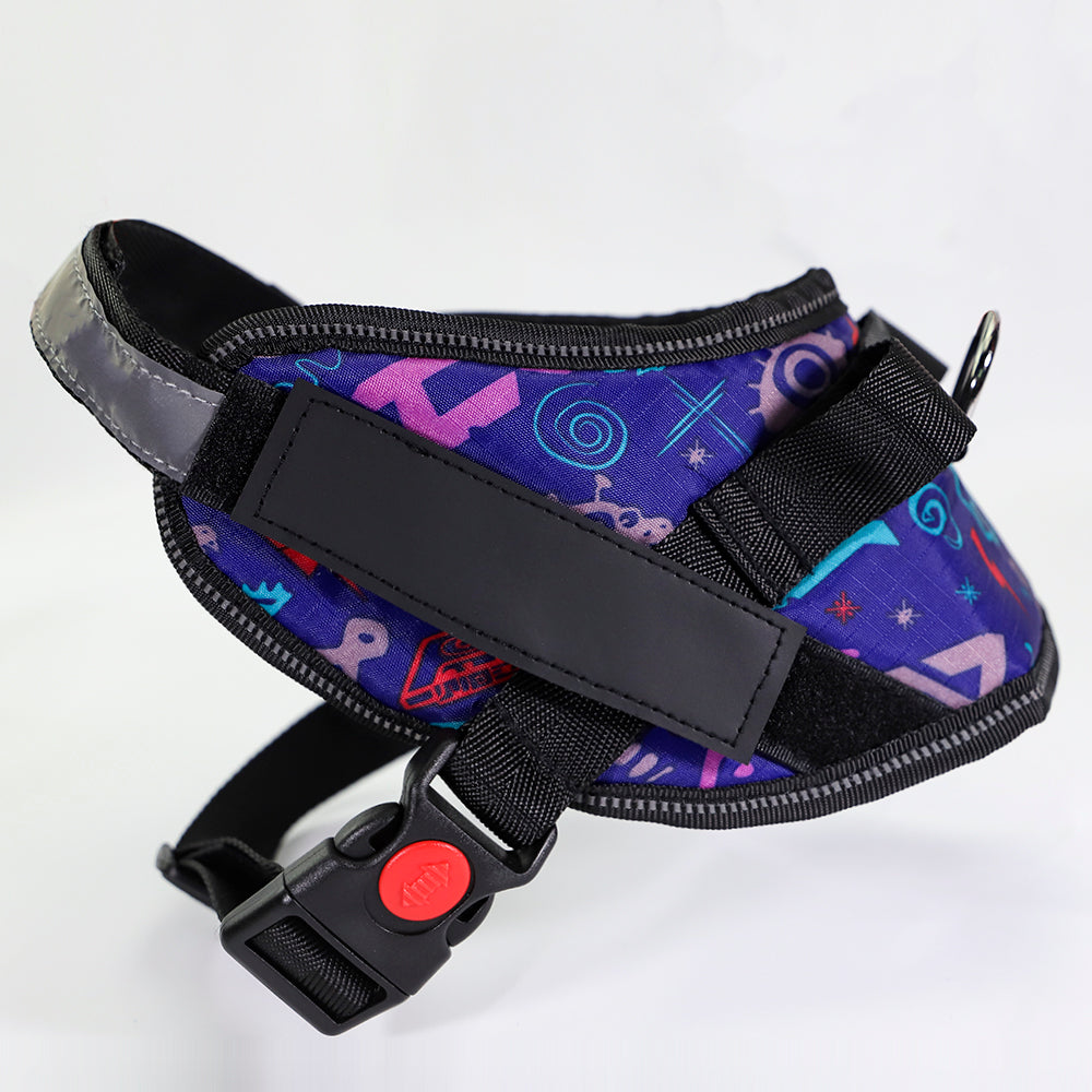 Adjustable Dog Chest Harness &amp; Leash Set