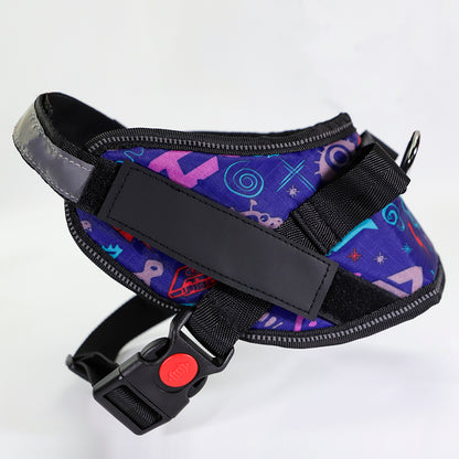 Adjustable Dog Chest Harness &amp; Leash Set