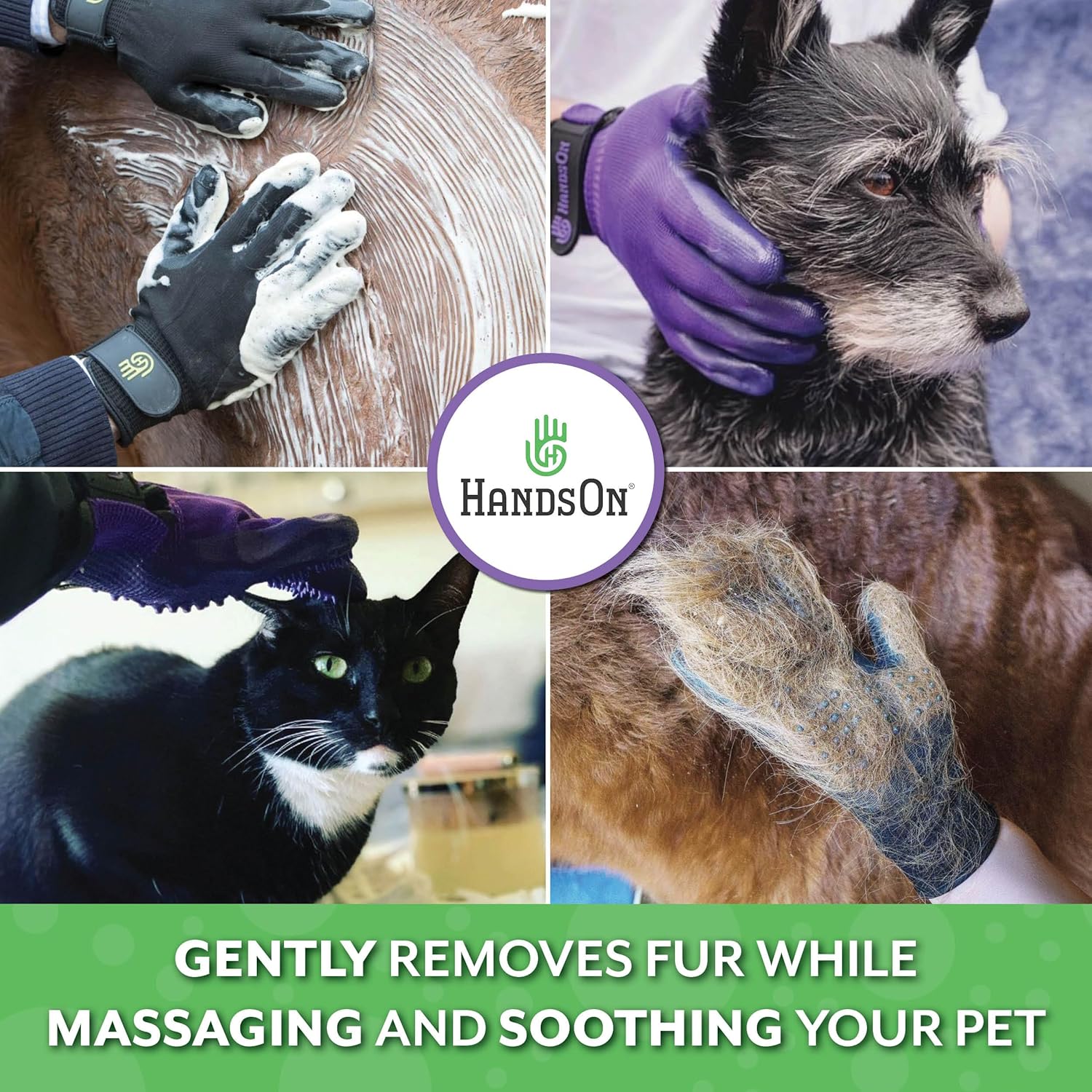 Aloe & Oats Dog Shampoo + Grooming Gloves Bundle