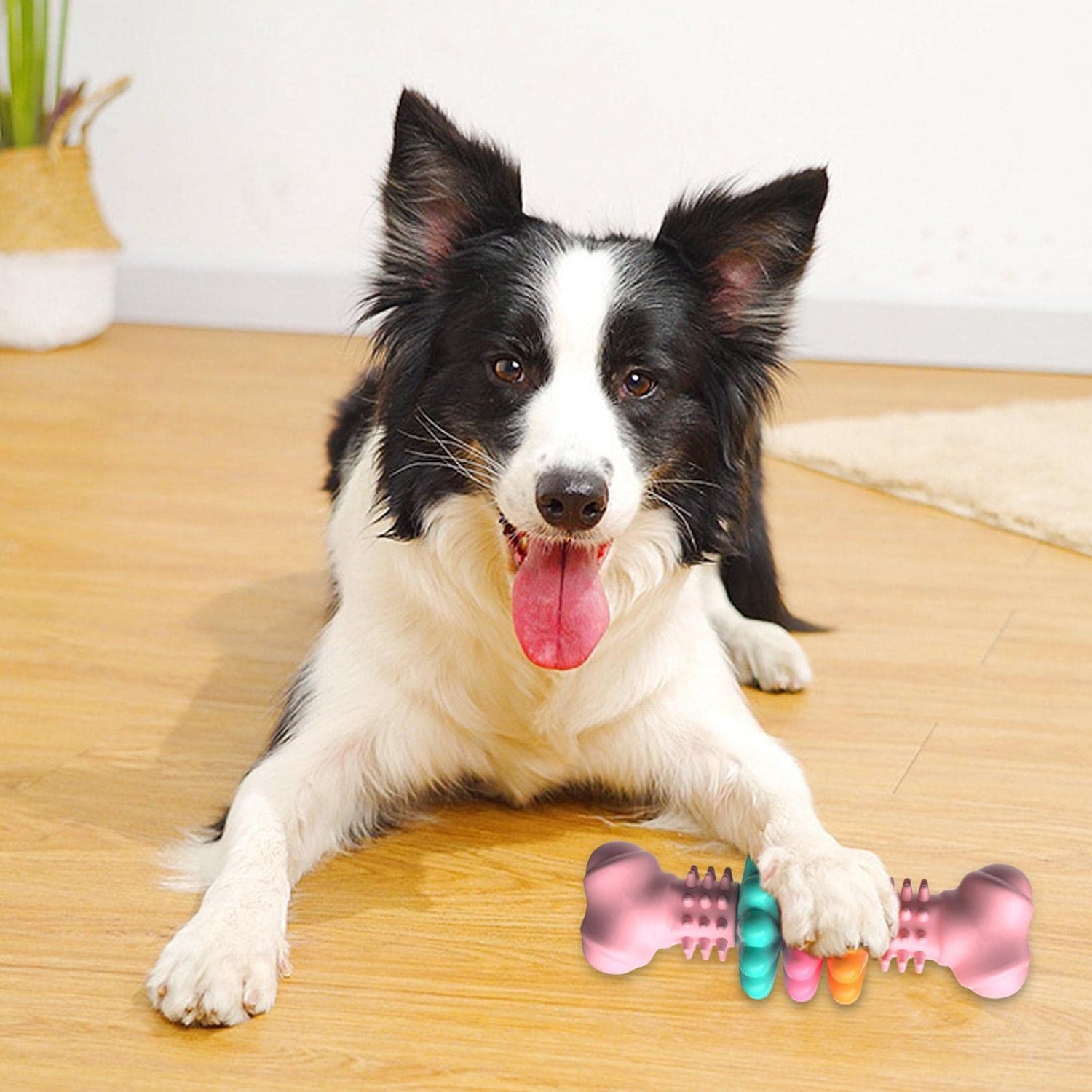 Dog Chew Toy Dog Bone Type  Dogs Teeth Cleaning Toys Indestructible TPR Bone Chewing Bite Resistant
