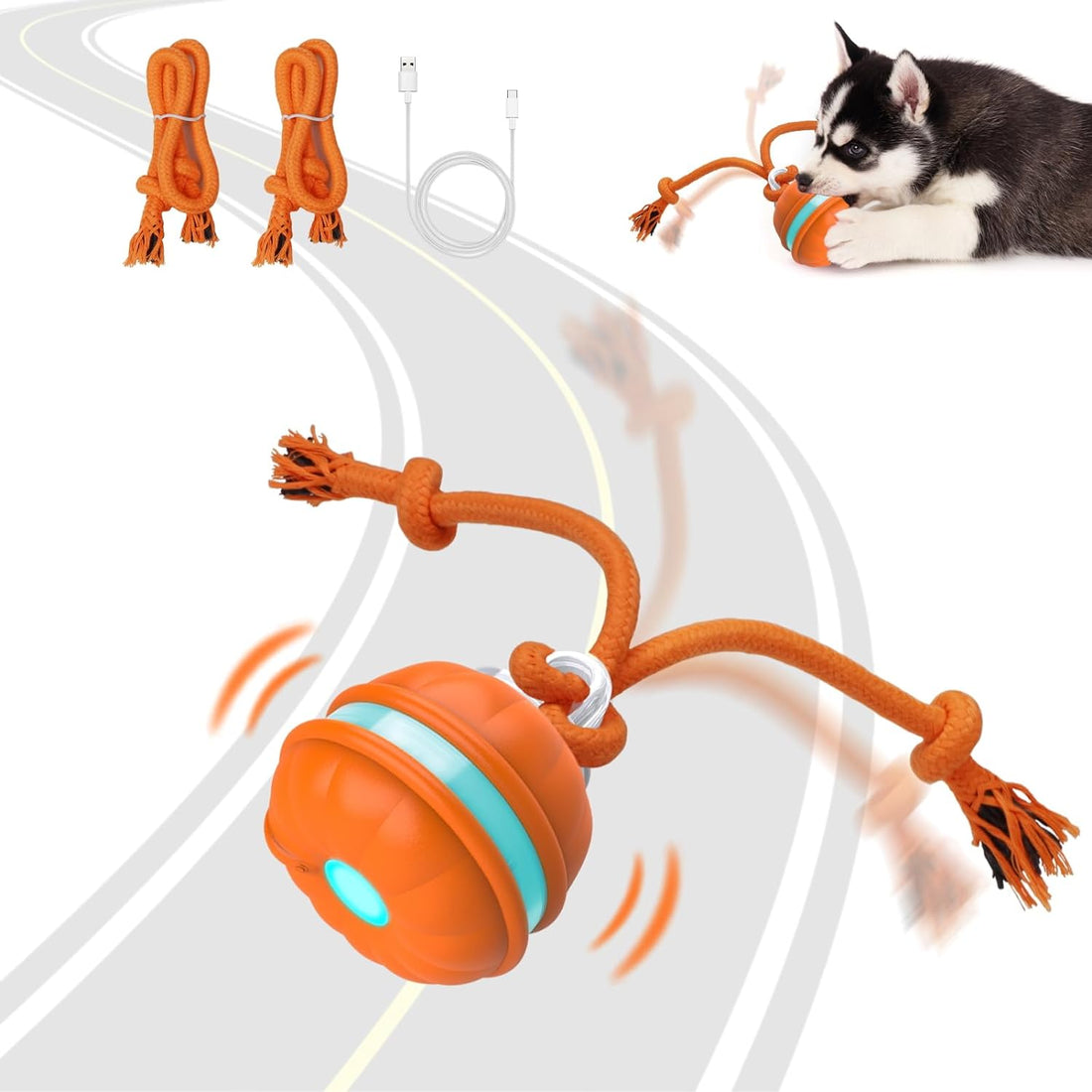 Motion-Activated Automatic Rolling Dog Ball – Interactive Rechargeable Toy for Puppies &amp; Small Dogs
