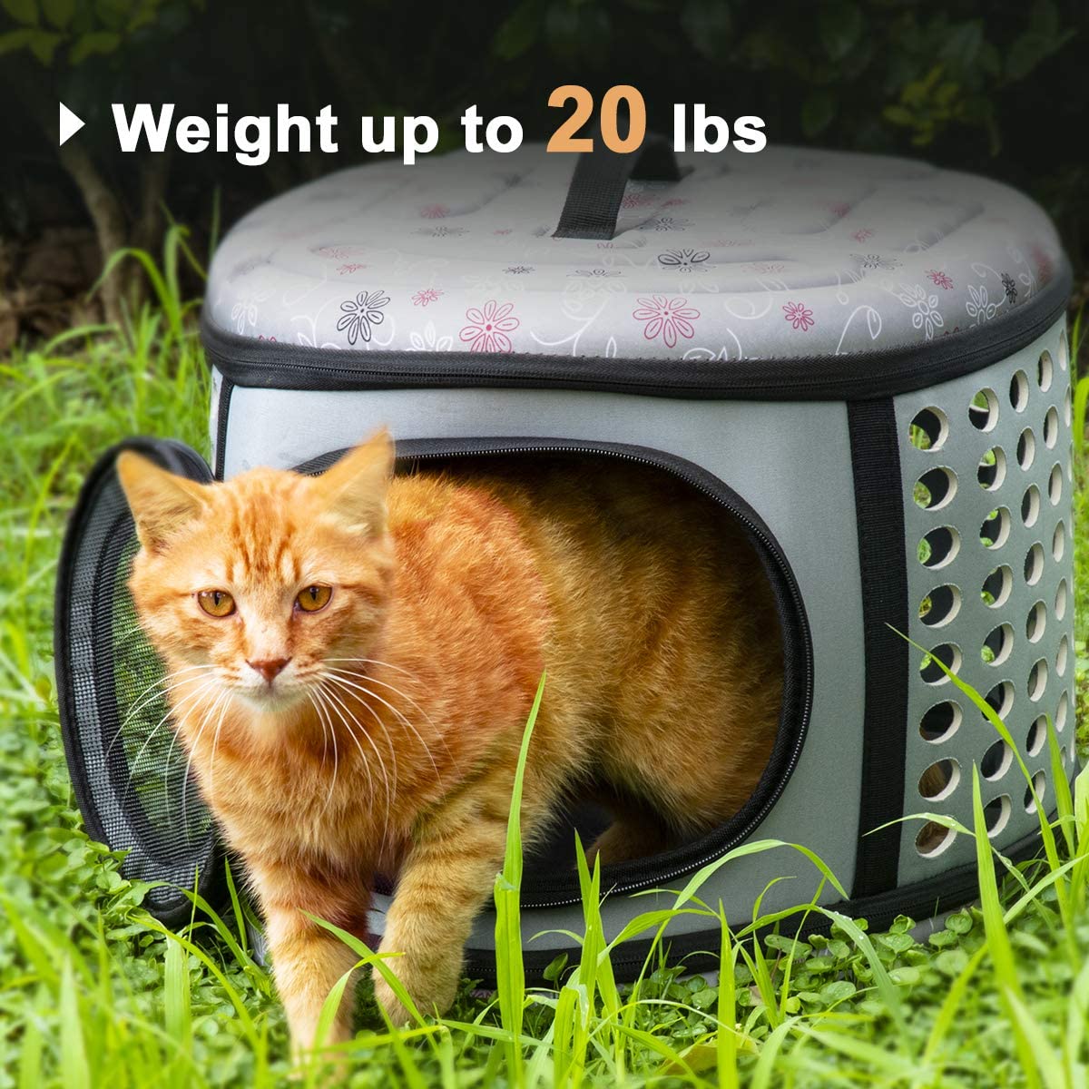 Foldable Pet Carrier Handbag
