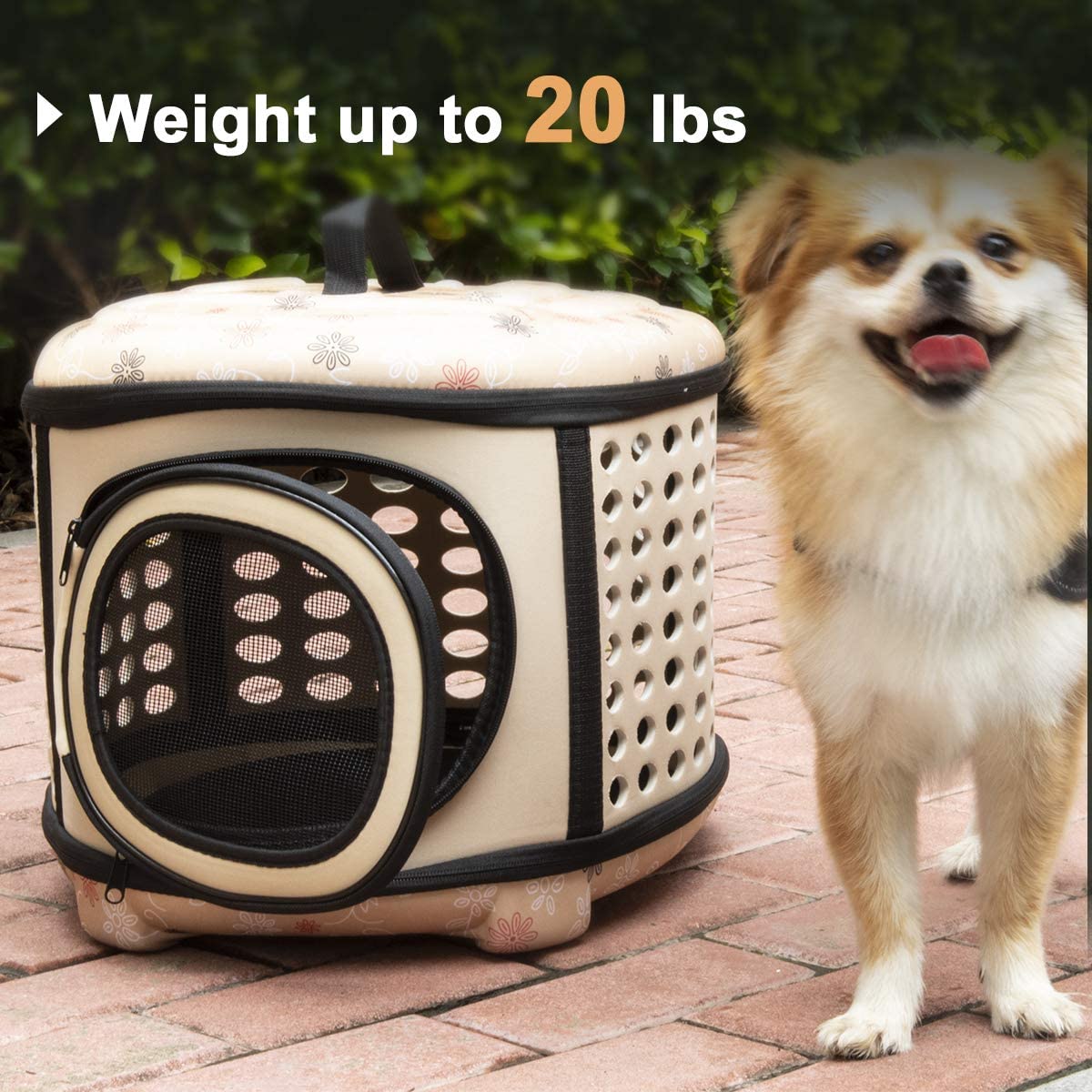 Foldable Pet Carrier Handbag