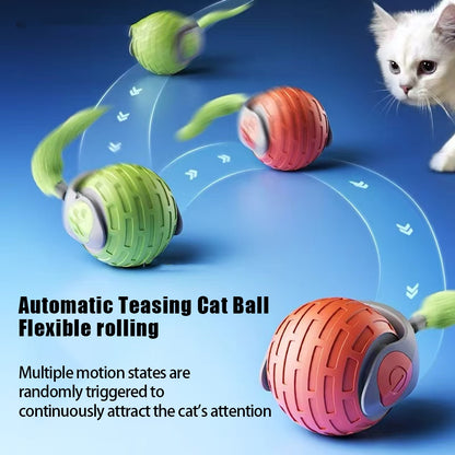 Pet feeder double bowl