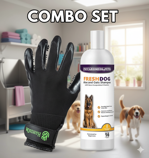 Aloe & Oats Dog Shampoo + Grooming Gloves Bundle