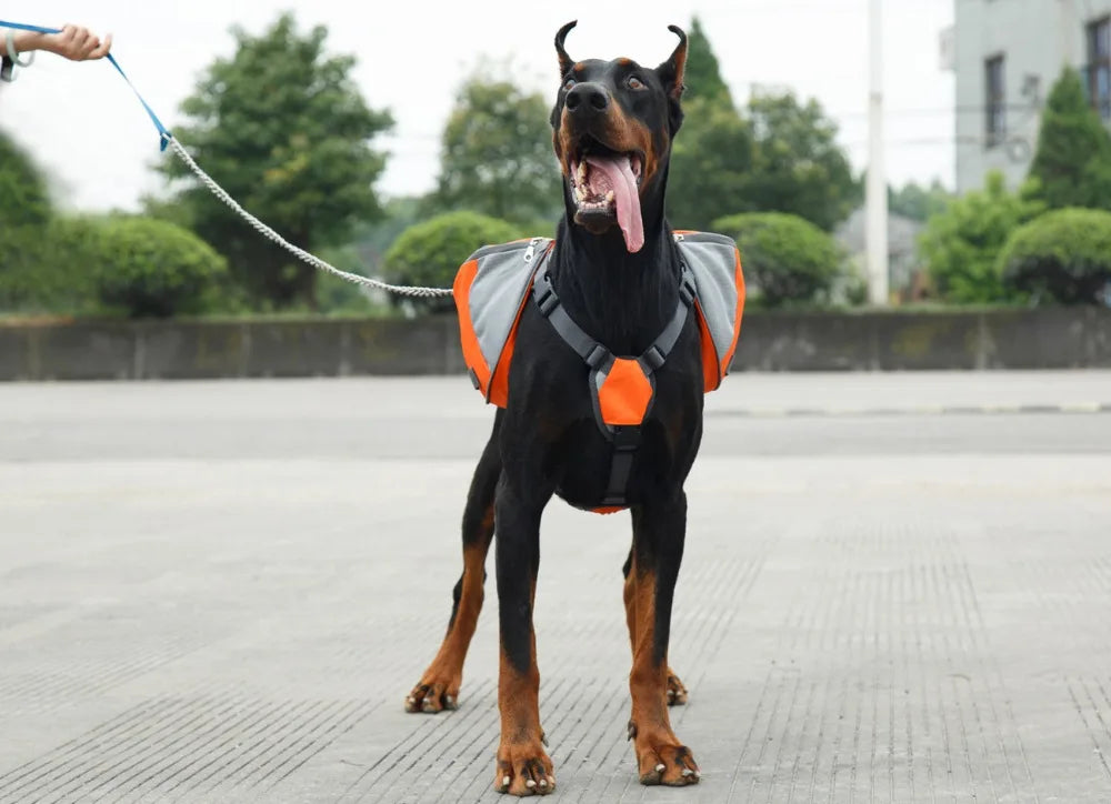 Reflective Dog Saddle Bag Harness | Adjustable Carrier for Hiking, Camping &amp; Travel