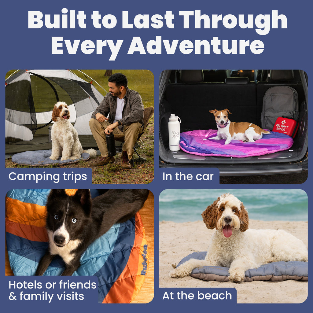 Foldable Travel Dog Bed