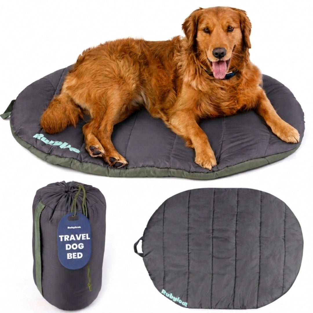 Foldable Travel Dog Bed