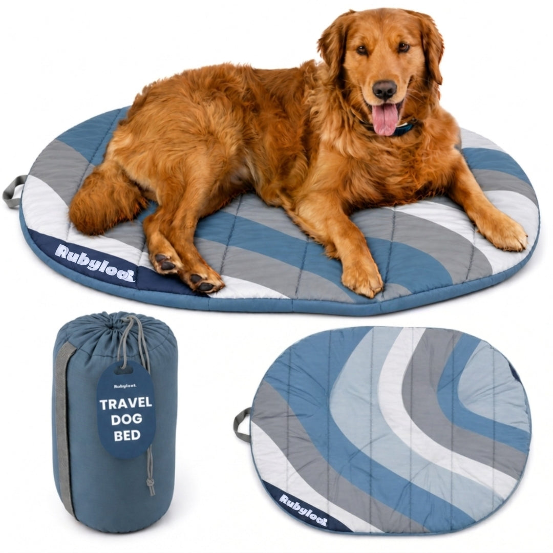 Foldable Travel Dog Bed