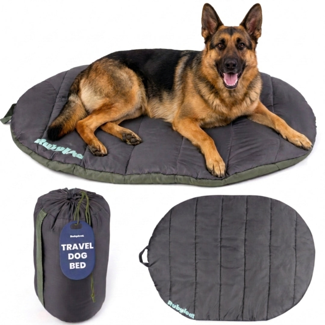 Foldable Travel Dog Bed
