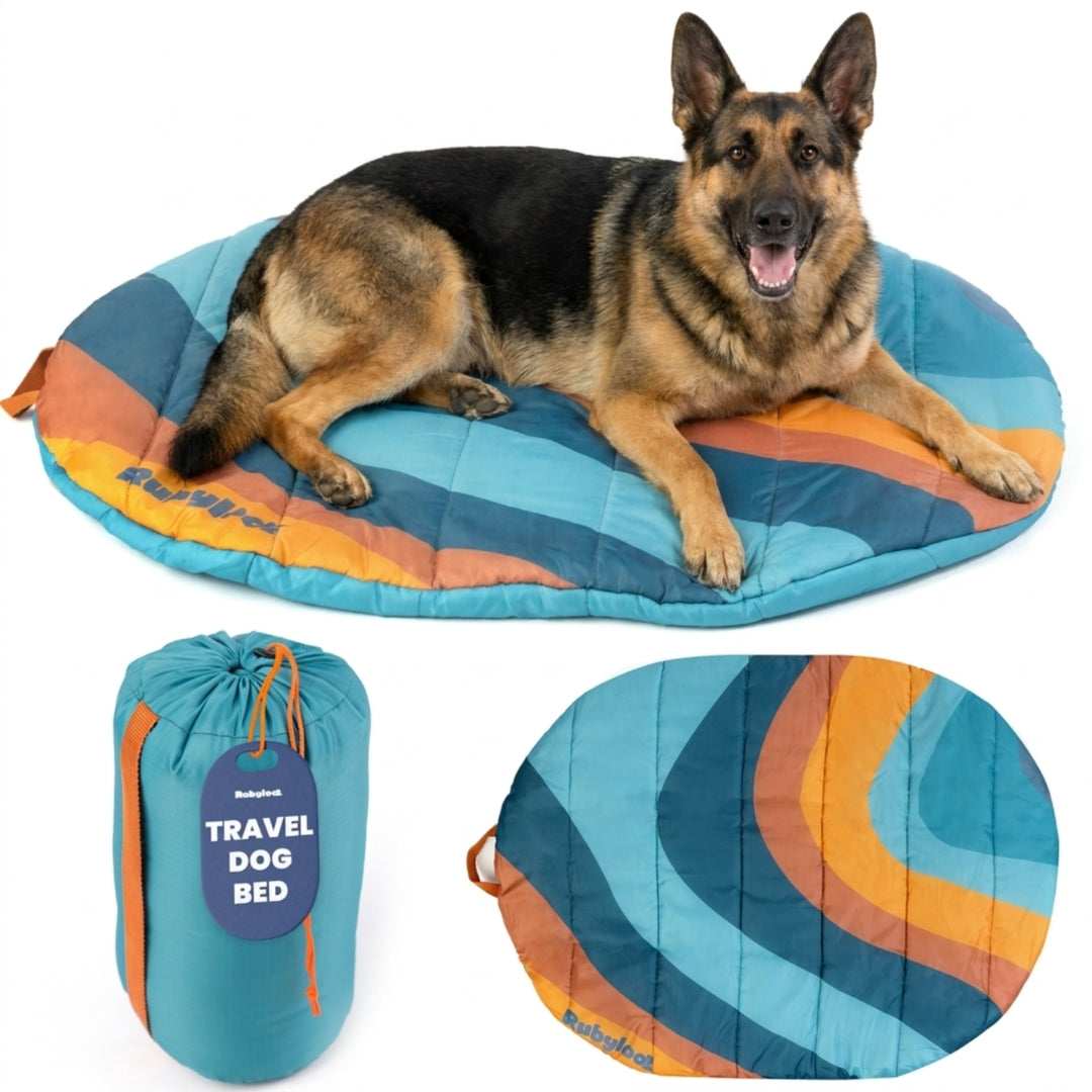 Foldable Travel Dog Bed