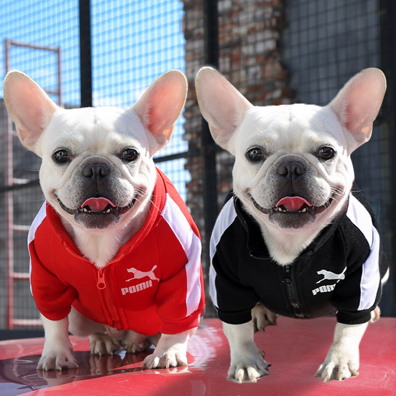 Pet Sweatshirt | Warm Letter Print Hoodie for Dogs &amp; Cats | Fall &amp; Winter