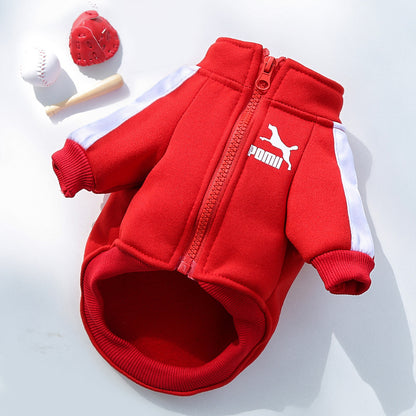 Pet Sweatshirt | Warm Letter Print Hoodie for Dogs &amp; Cats | Fall &amp; Winter