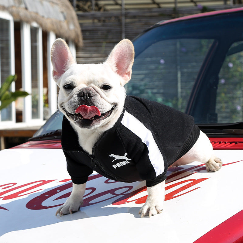 Pet Sweatshirt | Warm Letter Print Hoodie for Dogs &amp; Cats | Fall &amp; Winter
