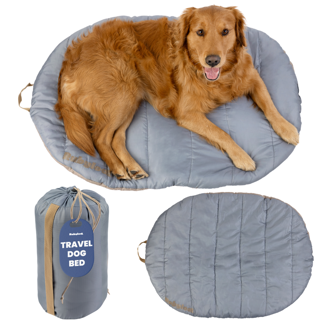 Foldable Travel Dog Bed
