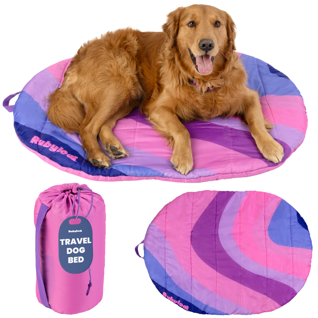 Foldable Travel Dog Bed