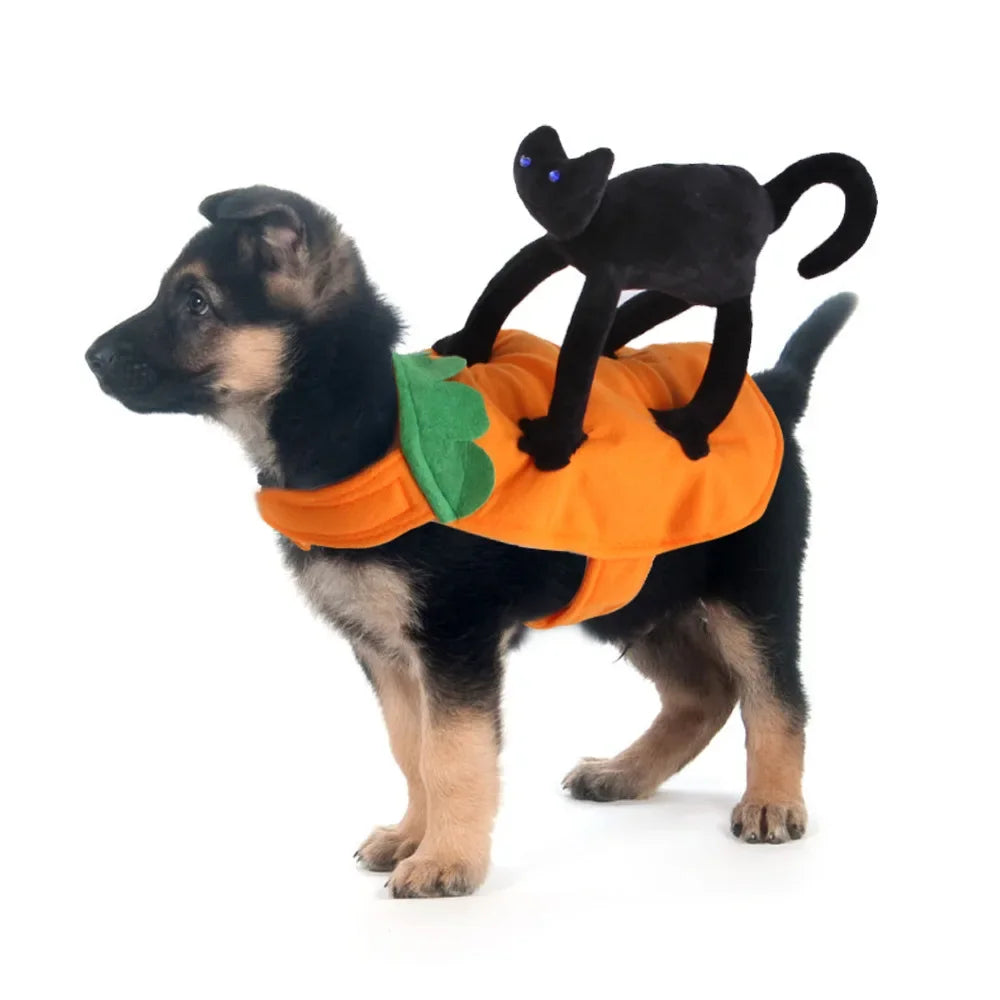 Halloween Pet Costume Ghost Costumes for Dogs Pets Party Cosplay Clothing Halloween Black Cat Costume for Small To Large Dogs