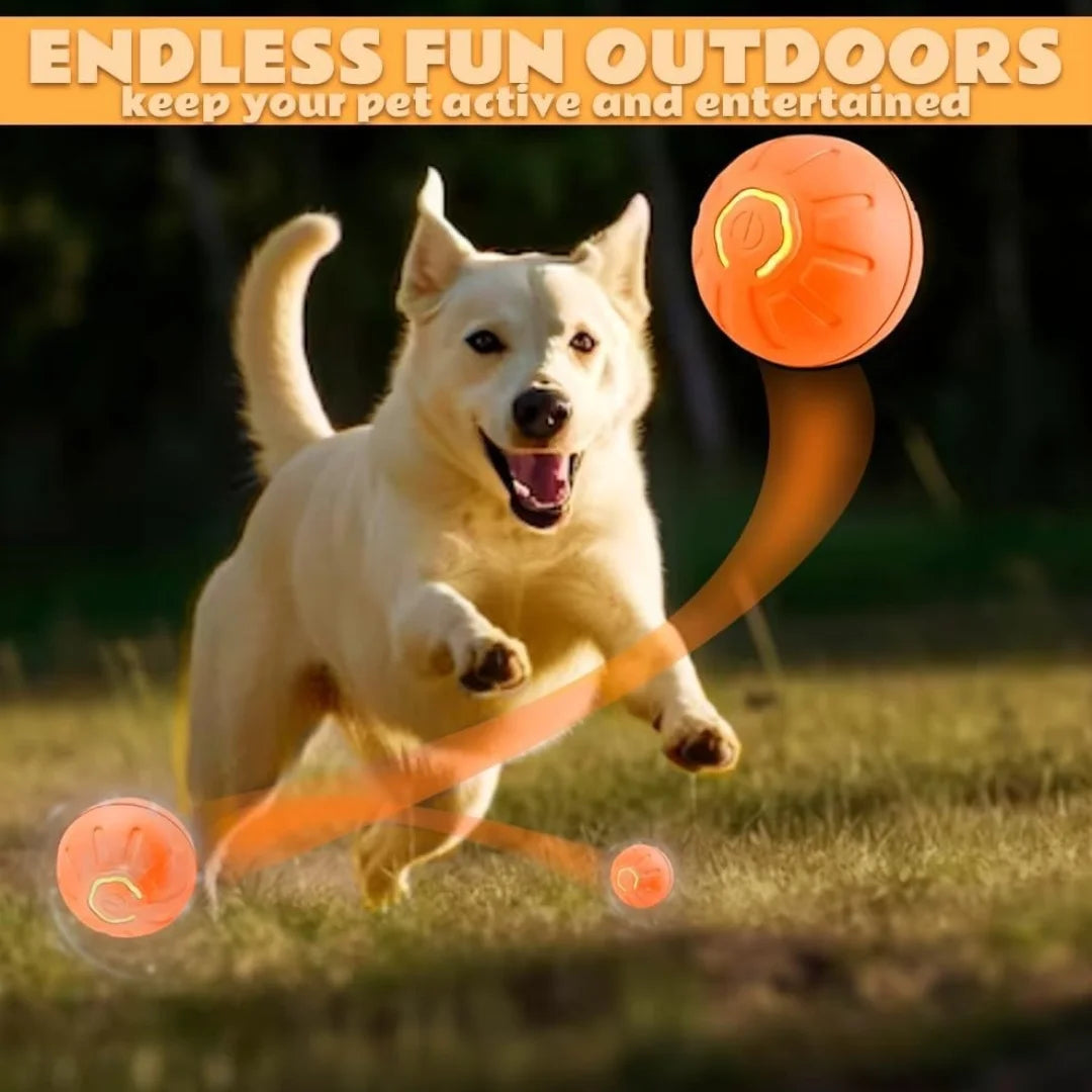 Electric Bouncing Ball Toy for Dogs