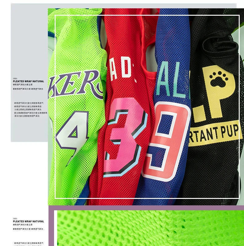 Summer Mesh Pet Vest