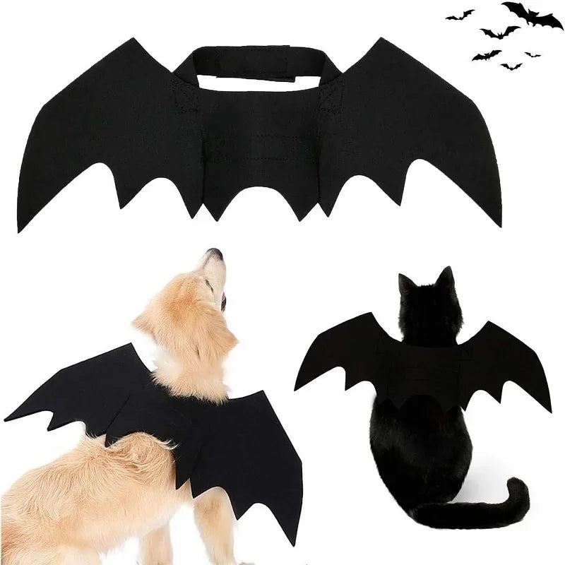 1Pc Cat Costume, Halloween Cat Costume Bat Wings Pet Costume with Pumpkin Bell, Halloween Costumes for Small Dog Puppy Kitten