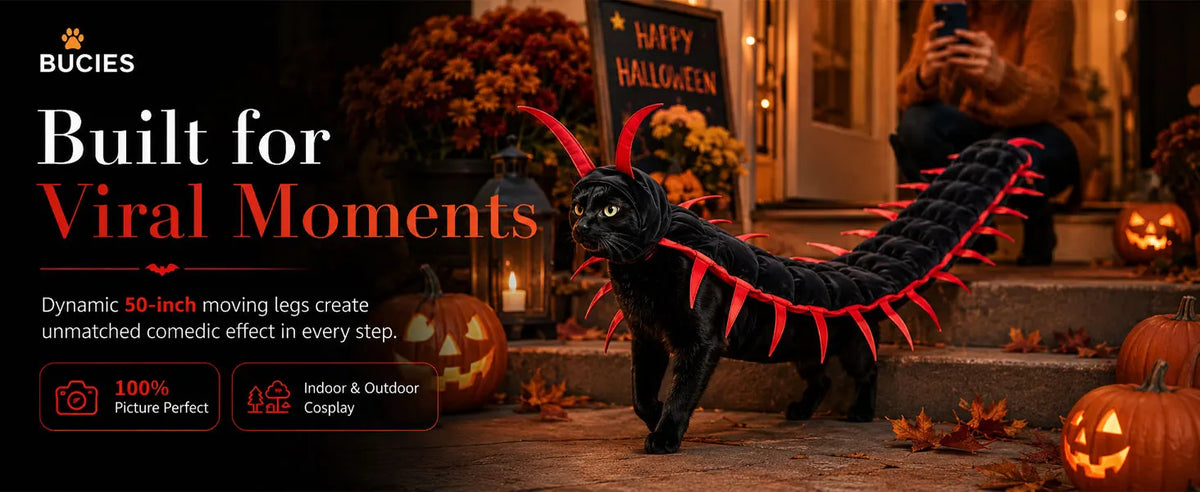 Cat Costume Centipede Outfit,Funny Pet Cosplay Costumes, Adjustable Straps for Small Medium Large Cats Outdoor Party Dress